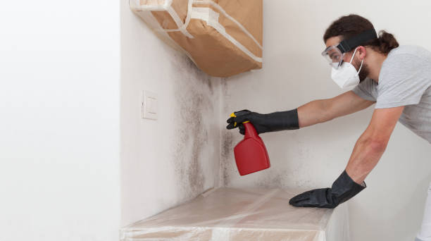 Professional Bathroom Mold Removal technician working in Woodbury Heights, NJ