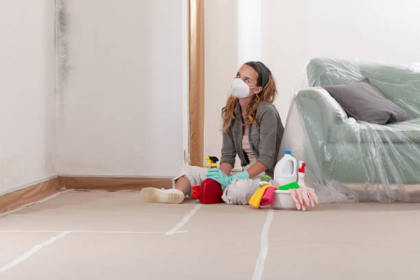 Reliable Bathroom Mold Removal contractor in Woodbury Heights, NJ by Mold Remediation HQ